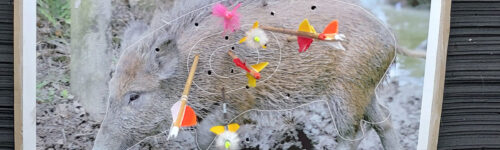 Championnat régional nature 2022