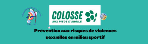 Visioconférence Colosse aux pieds d’argile