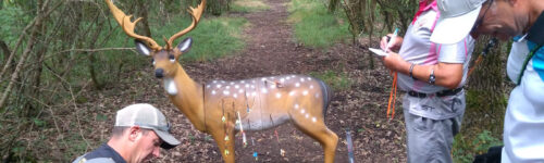 Championnat Régional 3D