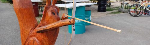 Championnat de France 3D Elite et catégories