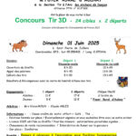 St Pierre de Juillers (17)