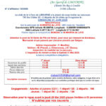 St Martin de Laye (33)