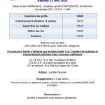 Dax (40)