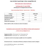 Pons (17)