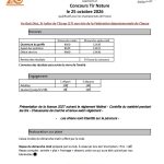 Surgères (17)